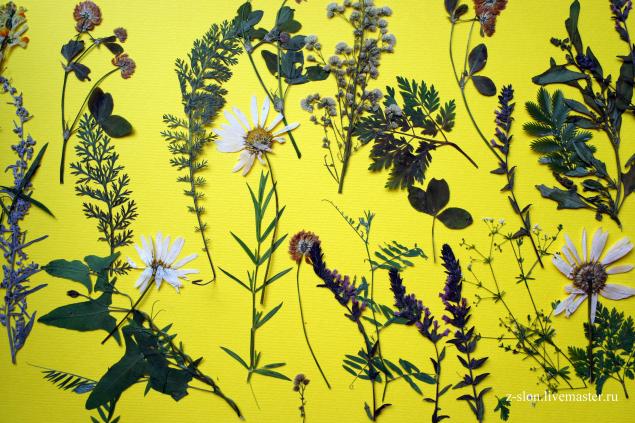 Мастер-класс по живописи: пастель, гуашь и сухоцветы — мой эксперимент, фото № 4