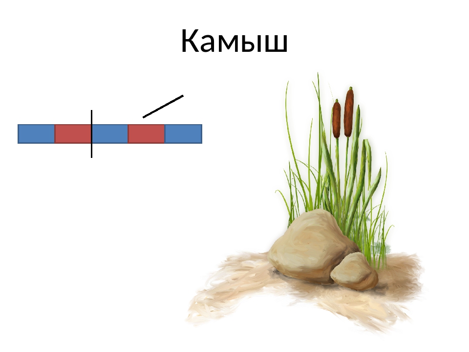 Камыши курск карта