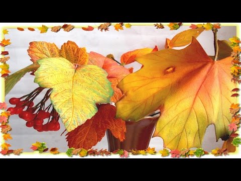 Листья. Осень. Лист калины из фоамирана