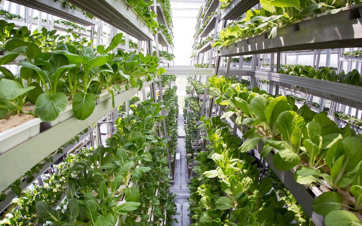 13 Vertical Farming Innovations That Could Revolutionize Agriculture