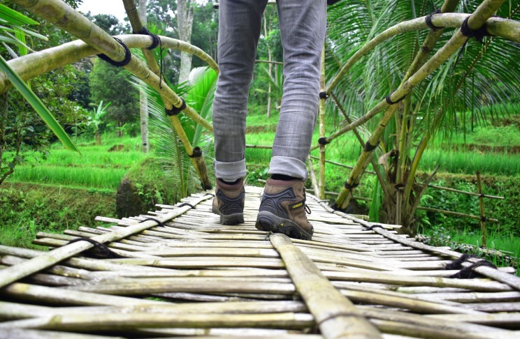Bamboo can be used to make ultra strong bridges and roads