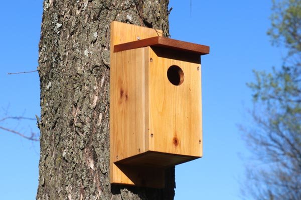Enjoy your birdhouse for seasons to come.