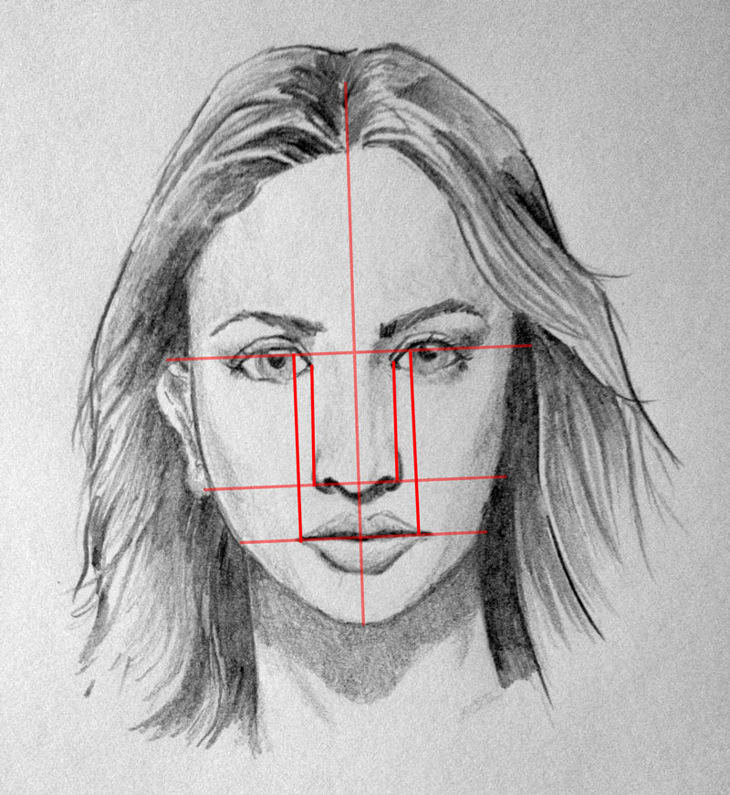 Facial Proporitons