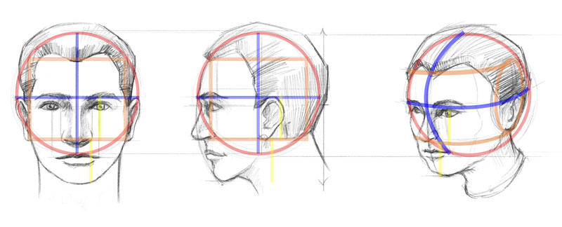 Loomis approach to drawing heads