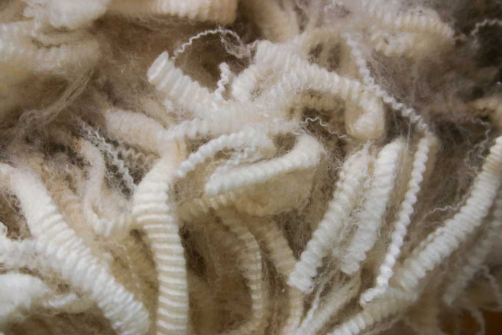 Merino wool