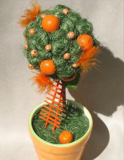 tangerine tree with your own hands