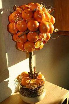 how to make a tangerine tree with your own hands