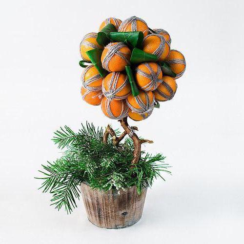 tangerine tree with his hands photo