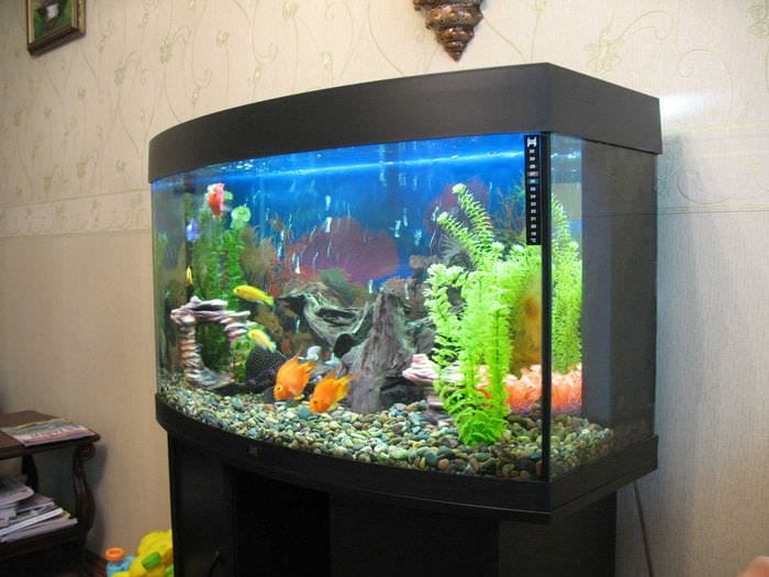 идея красивого украшения домашнего аквариума