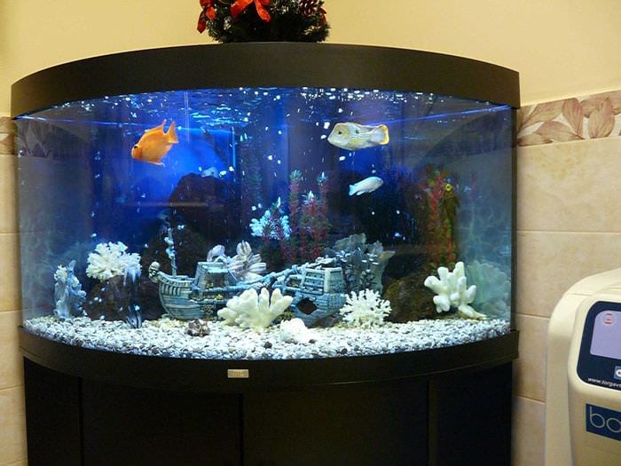 идея яркого декорирования аквариума