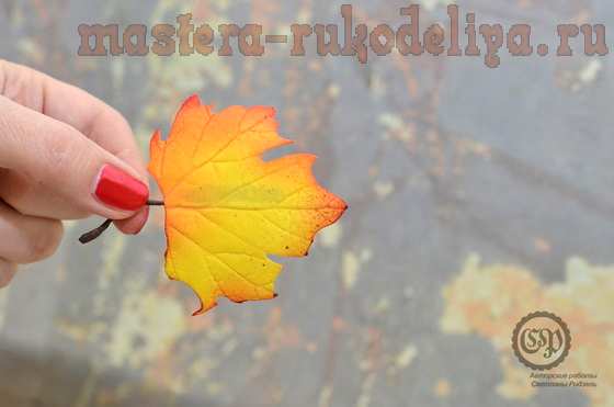 Мастер-класс по цветам из фоамирана: Осенние листочки