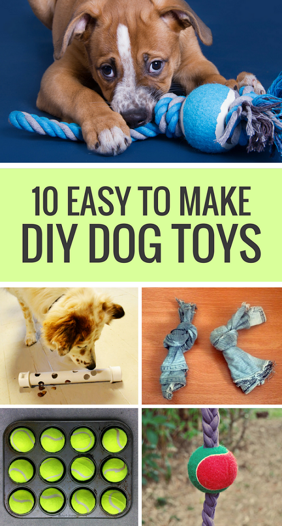 10 Easy to Make DIY Dog Toys