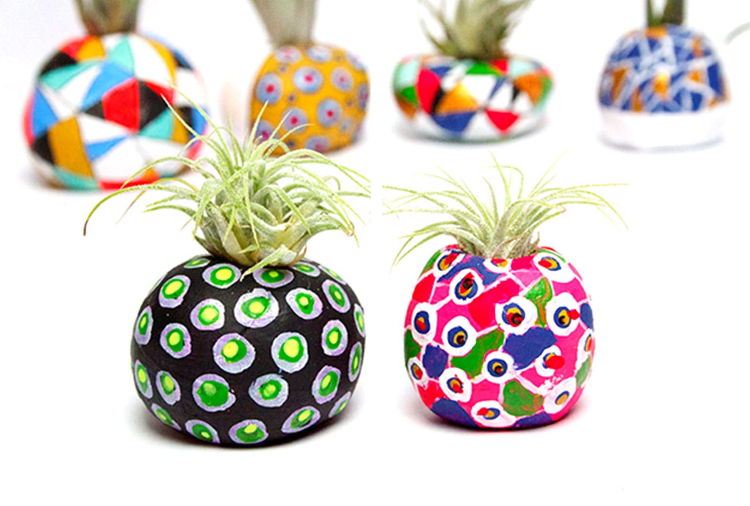 diy room decor potted air plants500