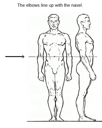 Proportions in figure drawing